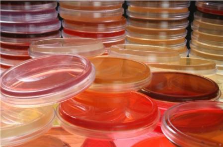 培養皿難洗總洗不干凈易碎，杜伯特輕松解決